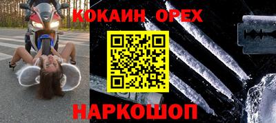 гидра Новодвинск