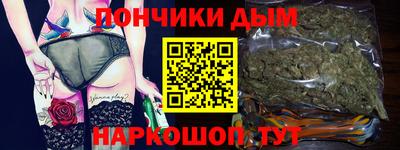 гидра Новодвинск