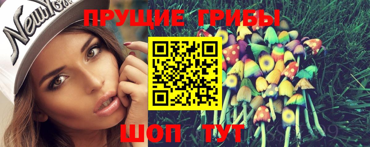 Псилоцибиновые грибы мицелий  Вход с VPN  Псилоцибиновые грибы Psilocybe  Туймазы 